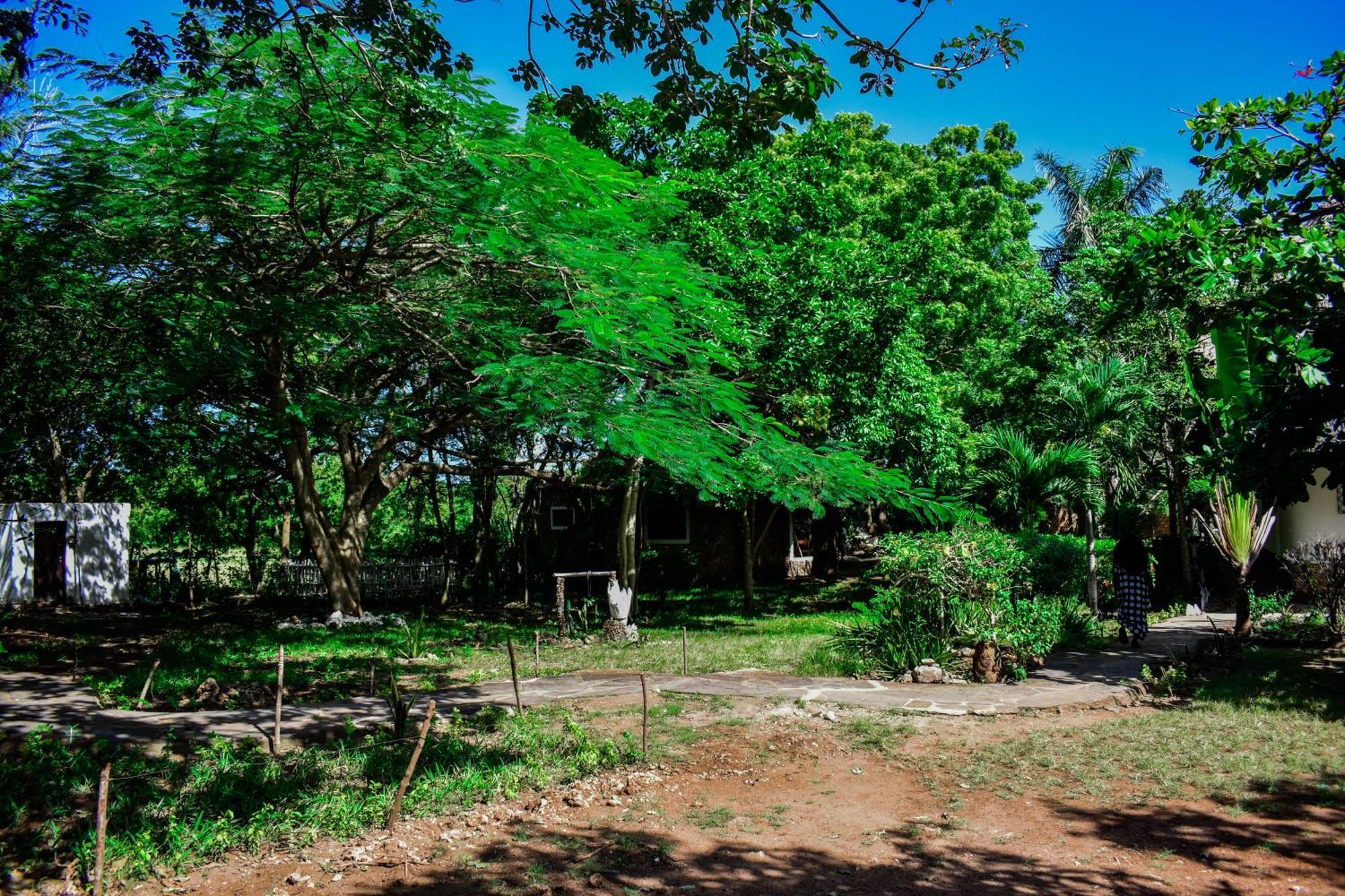 African Hut Tiny Cottage Diani Beach Zewnętrze zdjęcie