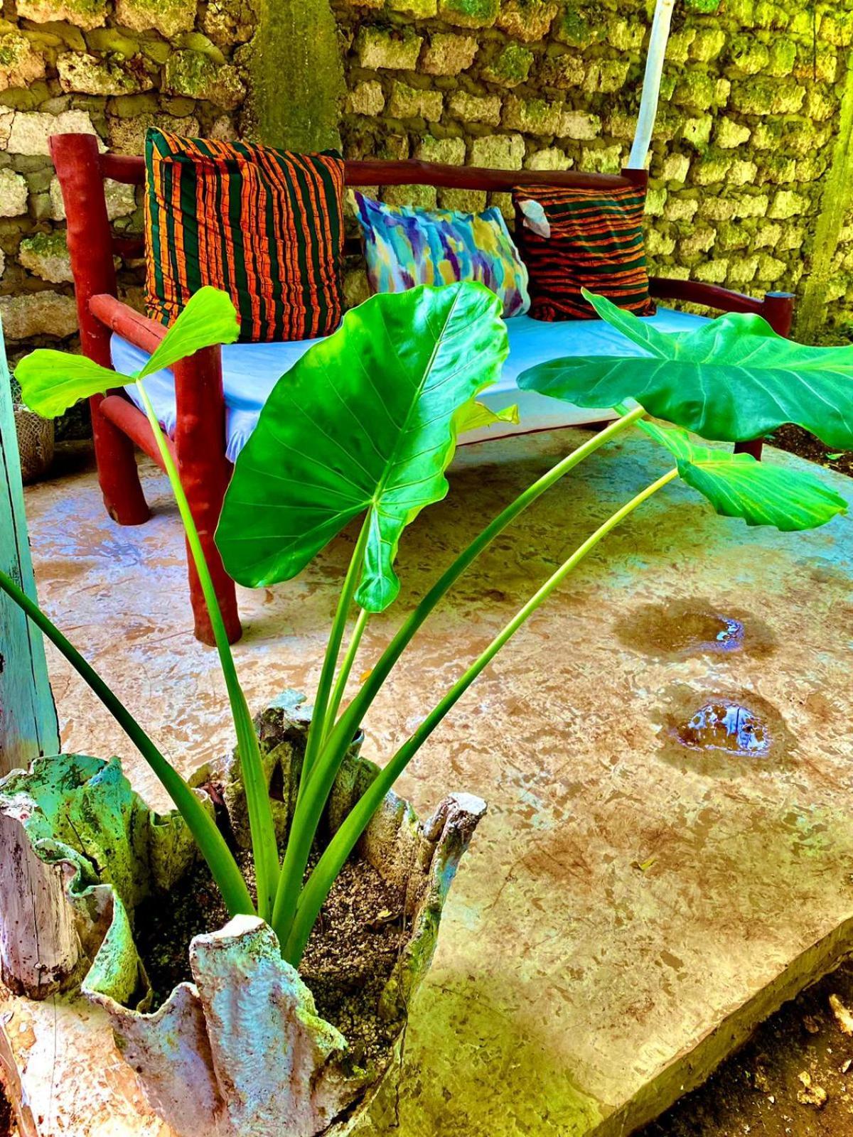 African Hut Tiny Cottage Diani Beach Zewnętrze zdjęcie
