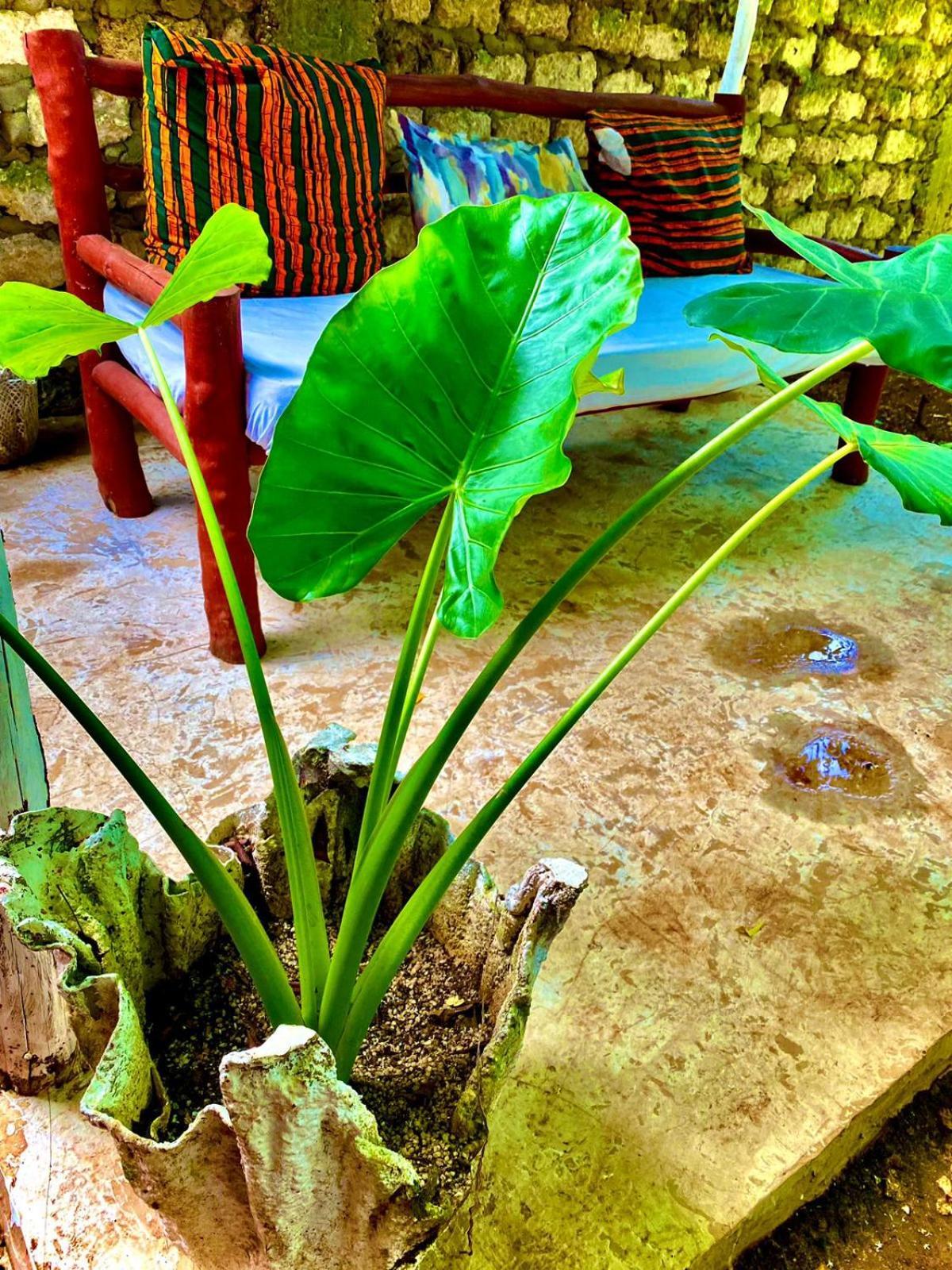 African Hut Tiny Cottage Diani Beach Zewnętrze zdjęcie