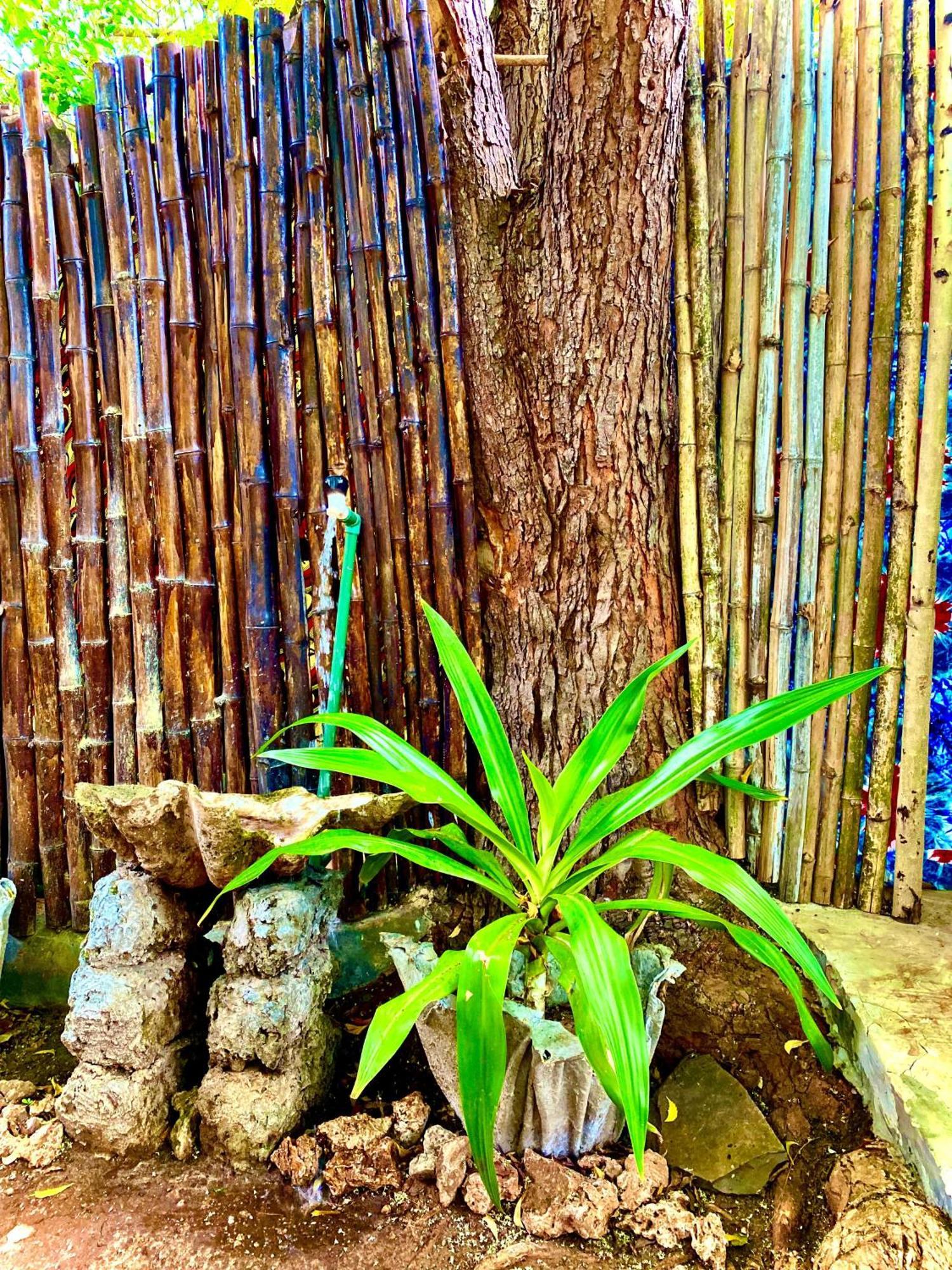 African Hut Tiny Cottage Diani Beach Zewnętrze zdjęcie